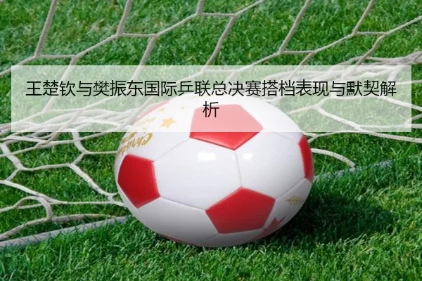 王楚钦与樊振东国际乒联总决赛搭档表现与默契解析